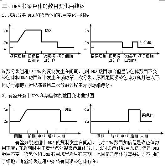 高中生物有丝分裂和减数分裂知识点汇总2